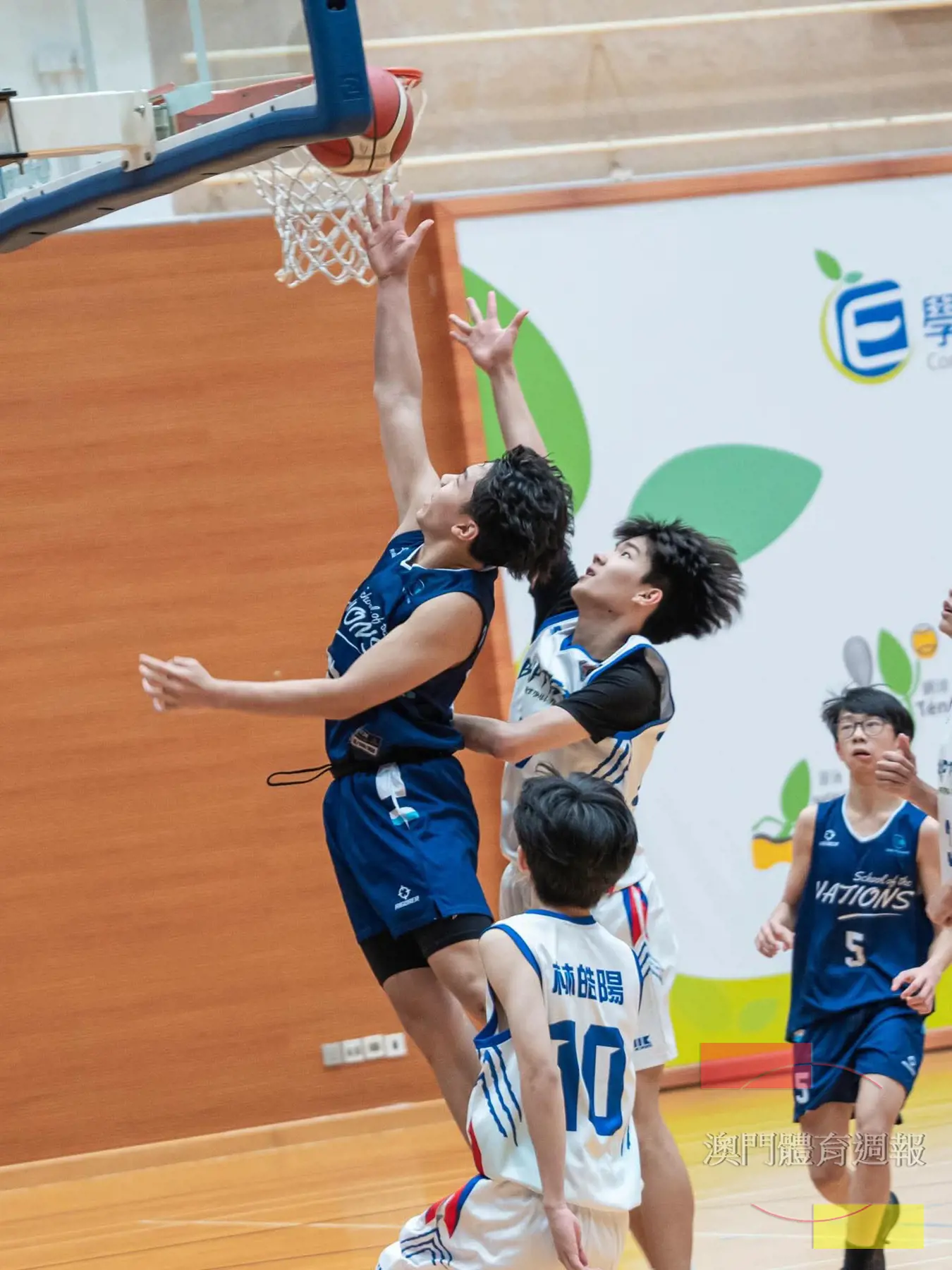 A2 從小籃球再進入學校，參與學界籃球再到其他隊伍，甚至代表隊，小籃球的作用就是為日後遍地開花而播種。(受訪者提供).JPG